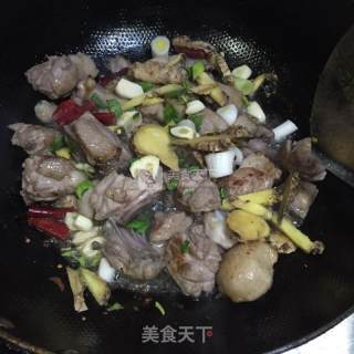 啤酒鸭的做法步骤：4