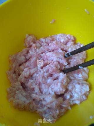 韭菜猪肉水饺的做法步骤：5
