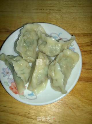韭菜猪肉水饺的做法步骤：13