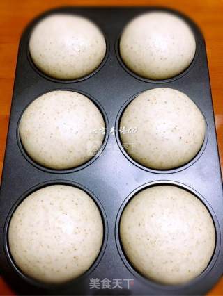 全麦肉松面包（冷藏中种法）的做法步骤：4
