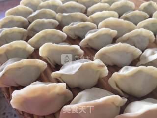 韭菜鸡蛋猪肉饺子的做法步骤：11