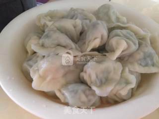 韭菜鸡蛋猪肉饺子的做法步骤：13