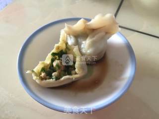 韭菜鸡蛋猪肉饺子的做法步骤：14