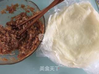 黄花菜肉春卷的做法步骤：8