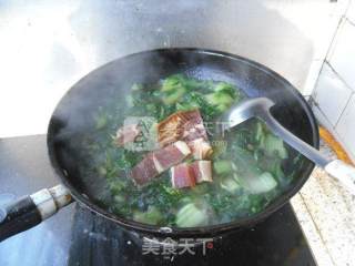 火腿烧青菜的做法步骤：8