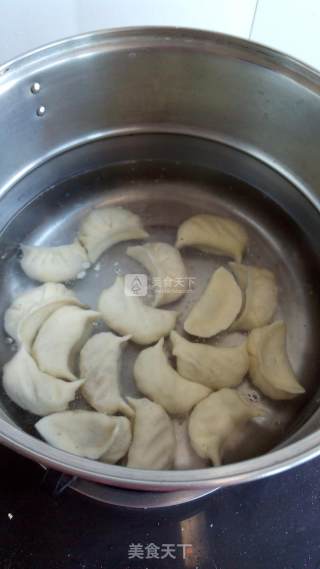 白菜虾仁水饺的做法步骤：12