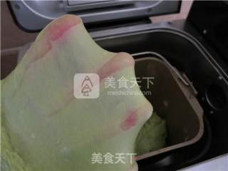 大麦青汁北海道吐司的做法步骤：9