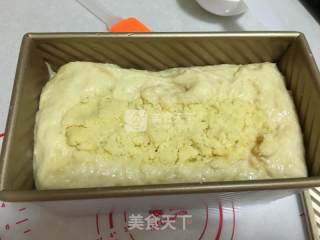 汤种椰蓉吐司面包的做法步骤：10