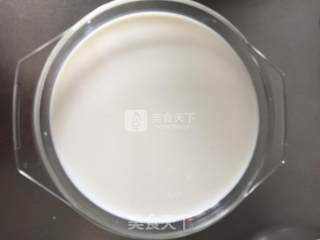 自制老酸奶的做法步骤：4