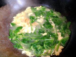 豌豆尖鸡蛋汤的做法步骤：5