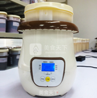 罗汉果鲜酿酵素的做法步骤：9