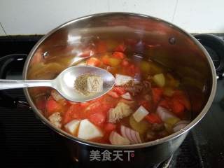 杂蔬小牛腩浓汤的做法步骤：13