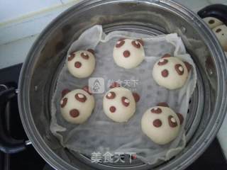 功夫熊猫大战猪猪侠～紫薯蓝莓芝麻包的做法步骤：14