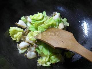 虾肉鲍鱼炒圆白菜的做法步骤：6