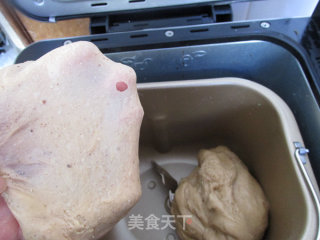 核桃肉松婴儿小餐包的做法步骤：7