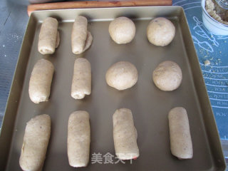 核桃肉松婴儿小餐包的做法步骤：15