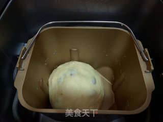 酥粒提子餐包的做法步骤：6