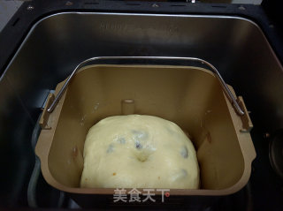 酥粒提子餐包的做法步骤：7
