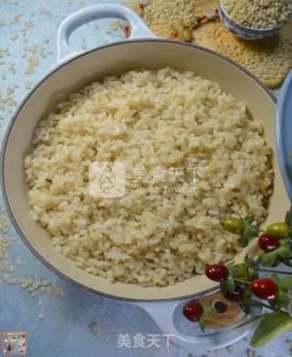 私菜食谱经－－糙米饭【铁铸锅版】的做法步骤：14