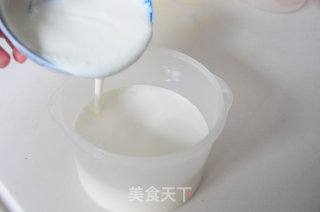自制酸奶的做法步骤：4