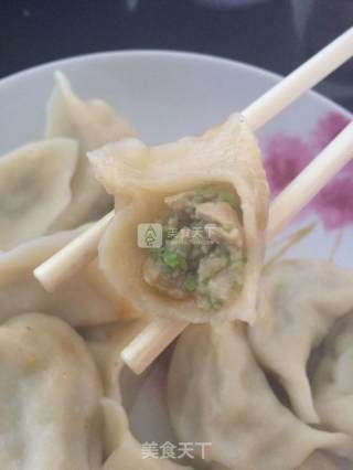 碎肉芦笋馅饺子的做法步骤：8