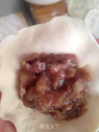 兔肉水饺的做法步骤：7