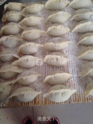 兔肉水饺的做法步骤：8