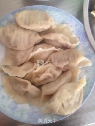 兔肉水饺的做法步骤：9