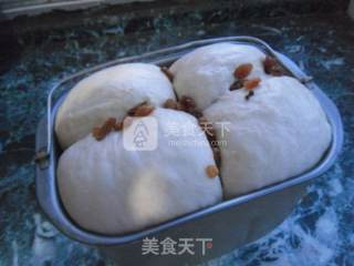 葡萄干吐司的做法步骤：13