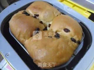 葡萄干吐司的做法步骤：16