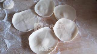 鲜肉胡萝卜水饺的做法步骤：12