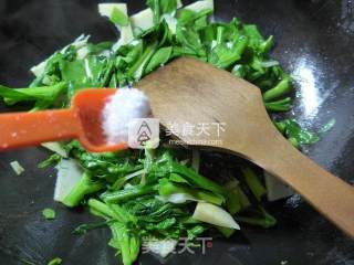 笋片炒油菜蕻的做法步骤：7