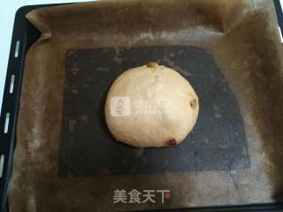 葡萄干软欧包的做法步骤：6
