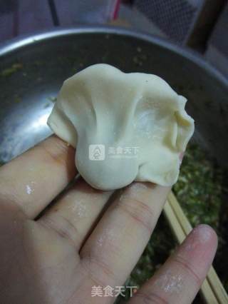 小茴香包饺子的做法步骤：9