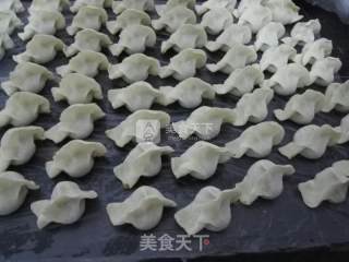 小茴香包饺子的做法步骤：10
