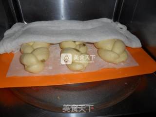 无黄油奶酥辫子面包的做法步骤：10