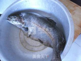 烧虹鳟鱼的做法步骤：1