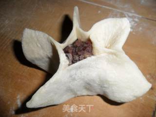花式南瓜蒸饺的做法步骤：5