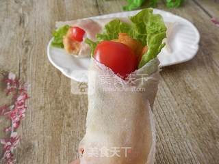 墨西哥鸡肉卷的做法步骤：10