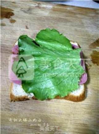 肉松火腿三明治的做法步骤：5