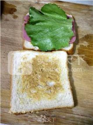 肉松火腿三明治的做法步骤：6