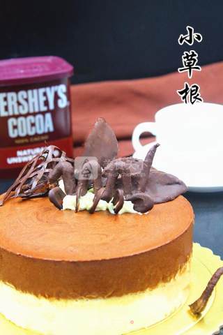 双色巧克力慕斯的做法步骤：27