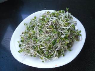 炒芽苗菜的做法步骤：3