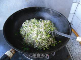 炒芽苗菜的做法步骤：6