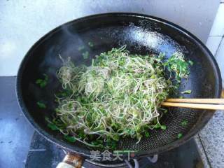 炒芽苗菜的做法步骤：9