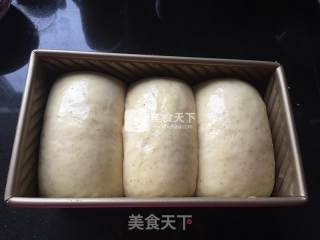 卡仕达全麦吐司的做法步骤：9