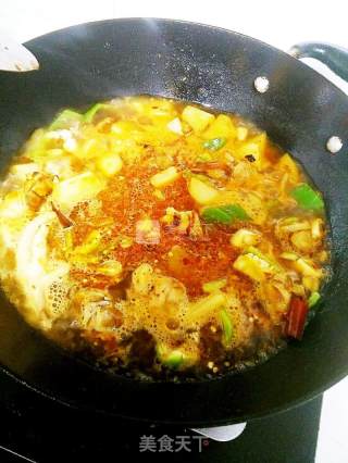 啤酒炖鸡块的做法步骤：4