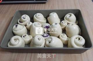 芝士炼乳紫薯卷的做法步骤：15