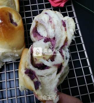 芝士炼乳紫薯卷的做法步骤：19