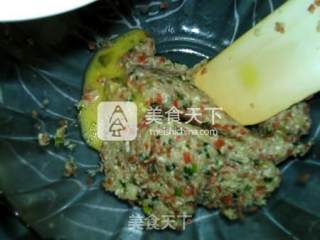 鸡肉豆腐饼的做法步骤：9